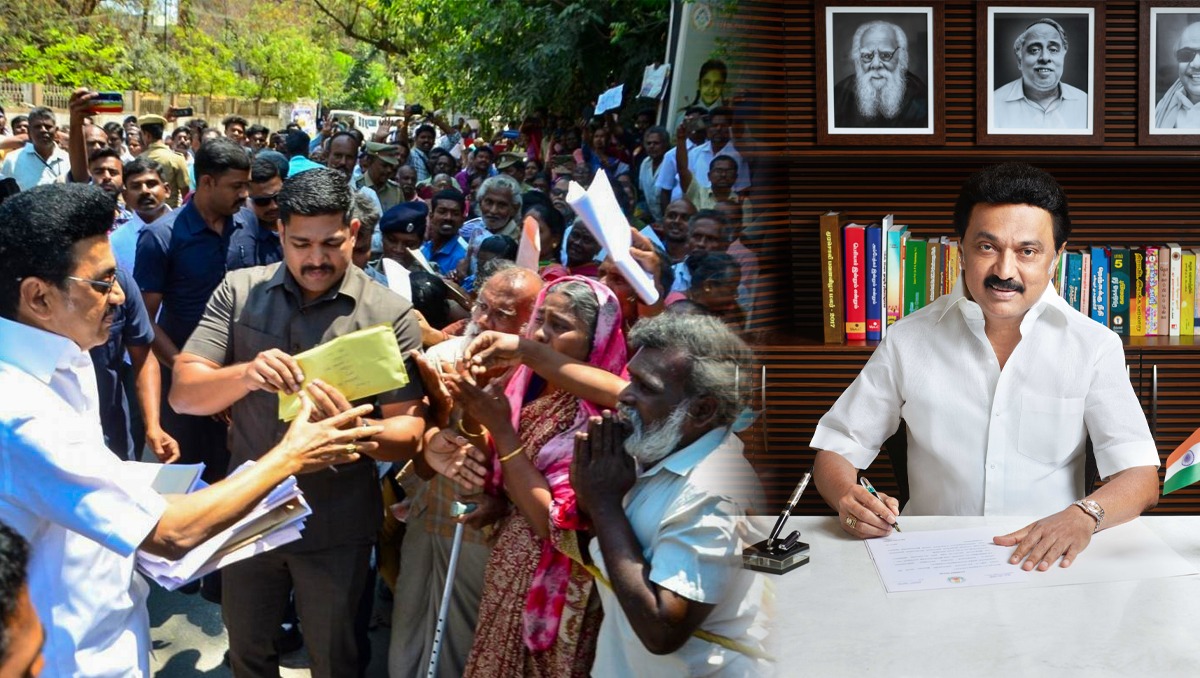 WhatsApp Image 2023-11-24 at 1.54.49 PM