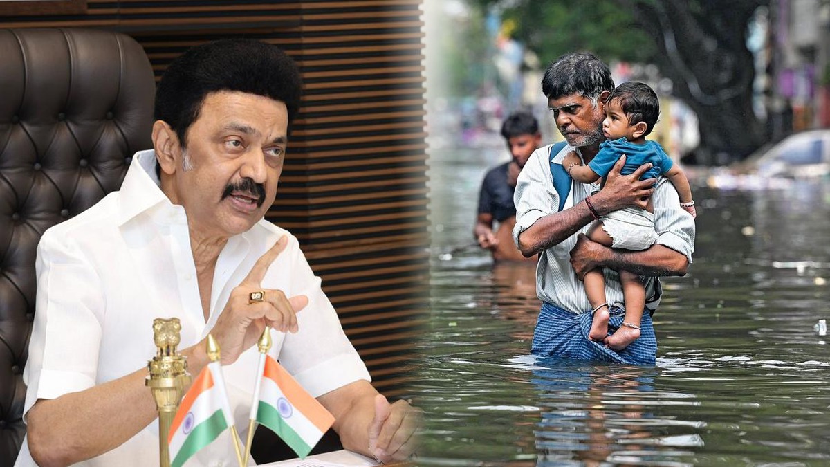 WhatsApp Image 2023-12-08 at 2.09.43 PM