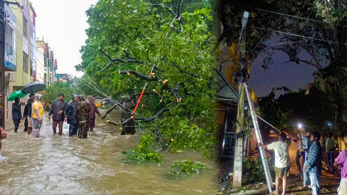 WhatsApp Image 2023-12-11 at 17.30.48