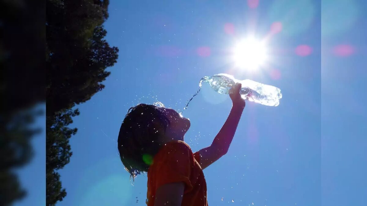 summer - water bottle 1200