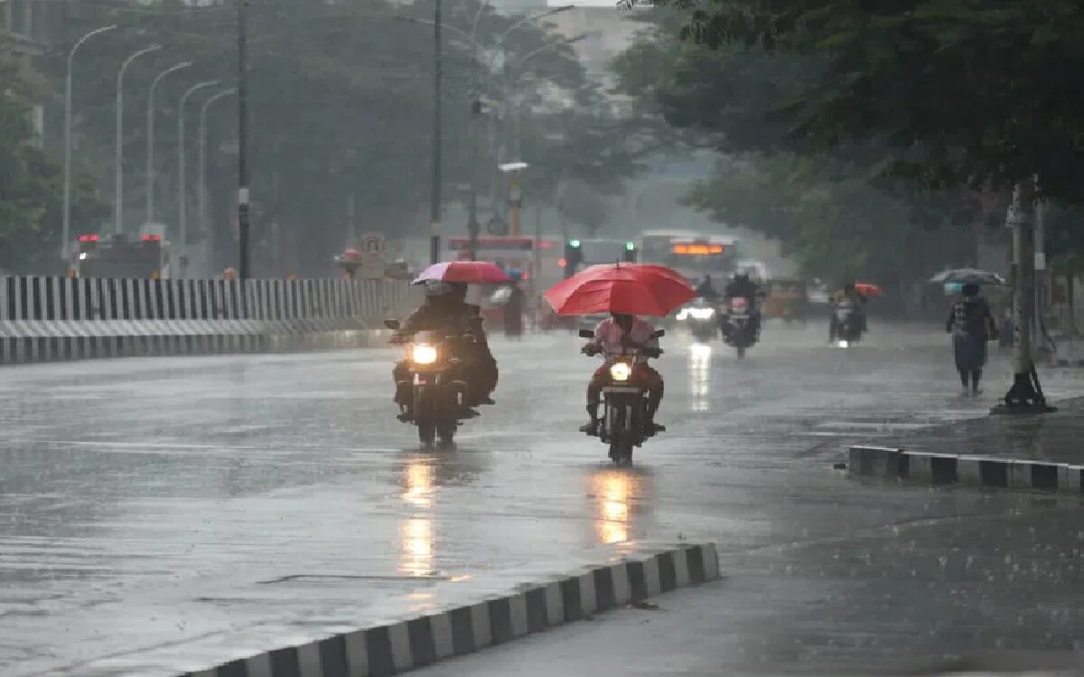 TN rain 1200