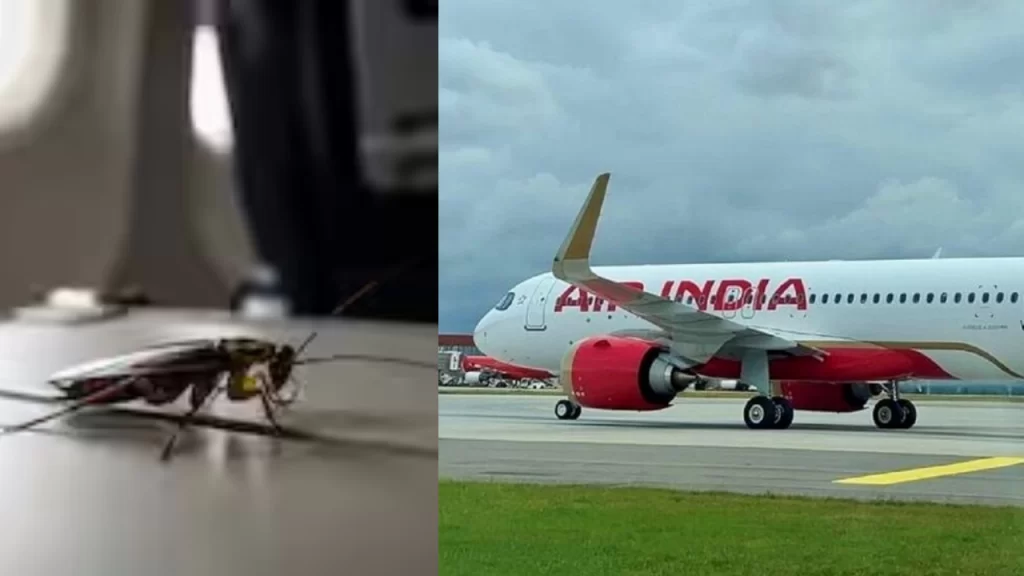 New Project - 2025-08-04T145936.839