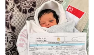 New Project - 2025-10-22T141156.046