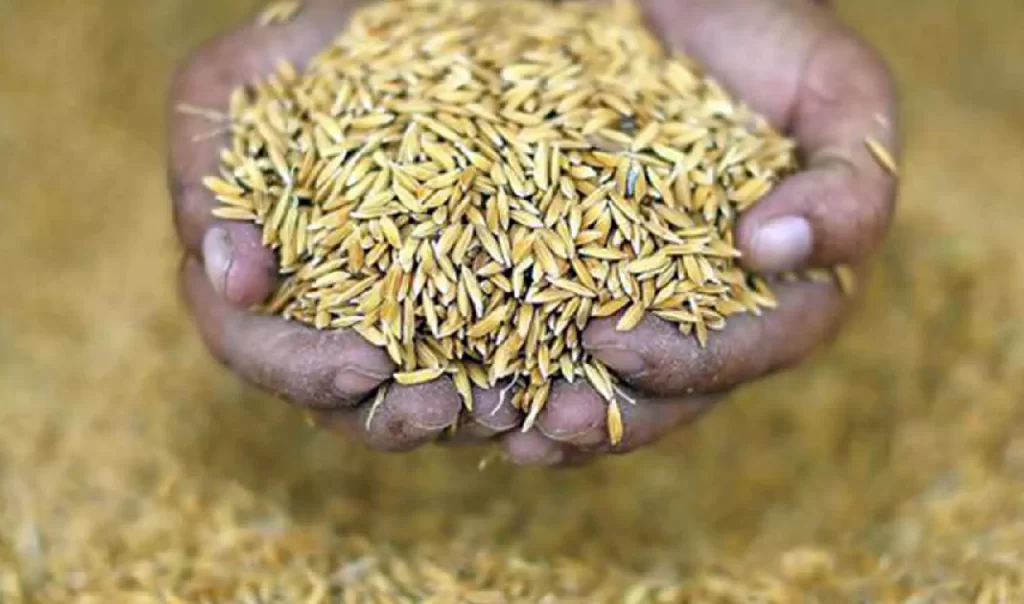 New Project - 2025-10-23T182410.331