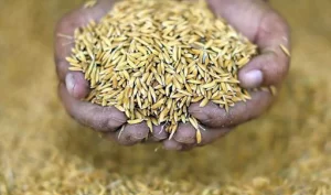 New Project - 2025-10-23T182410.331