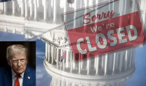 New Project - 2025-11-07T121422.340