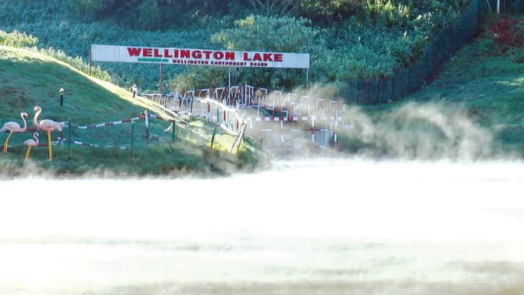 New Project - 2025-12-11T131123.423