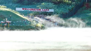 New Project - 2025-12-11T131123.423