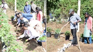 New Project - 2025-12-12T165314.587