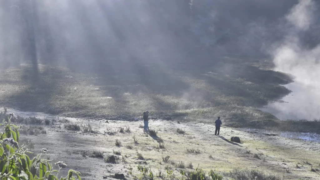 New Project - 2025-12-13T123842.353