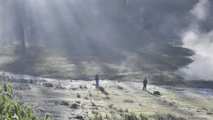 New Project - 2025-12-13T123842.353