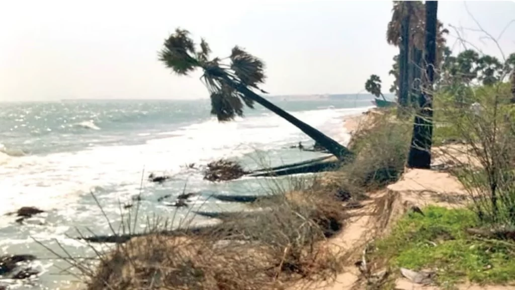 New Project - 2025-12-16T125708.276