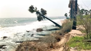 New Project - 2025-12-16T125708.276