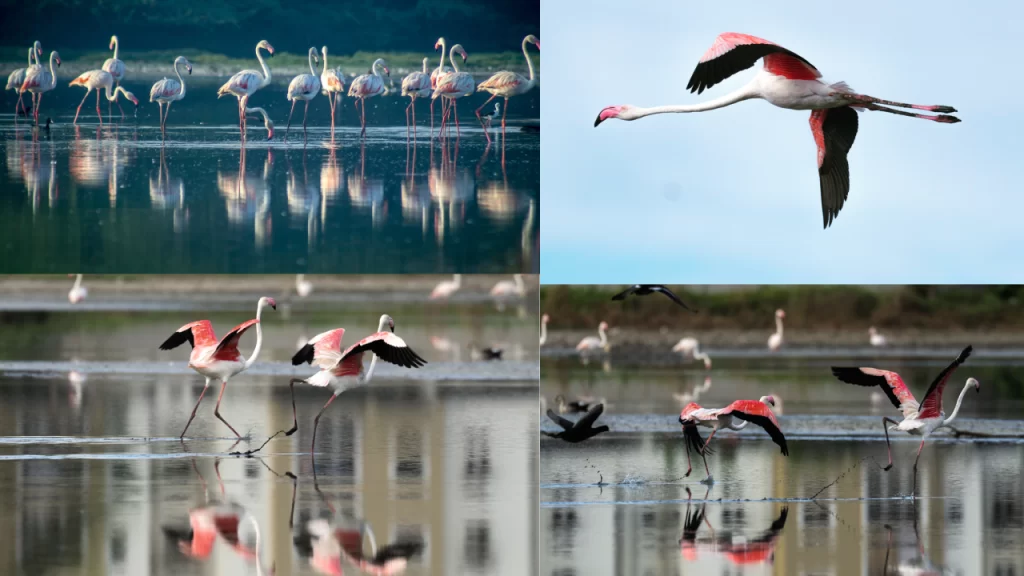 New Project - 2025-12-17T145216.930