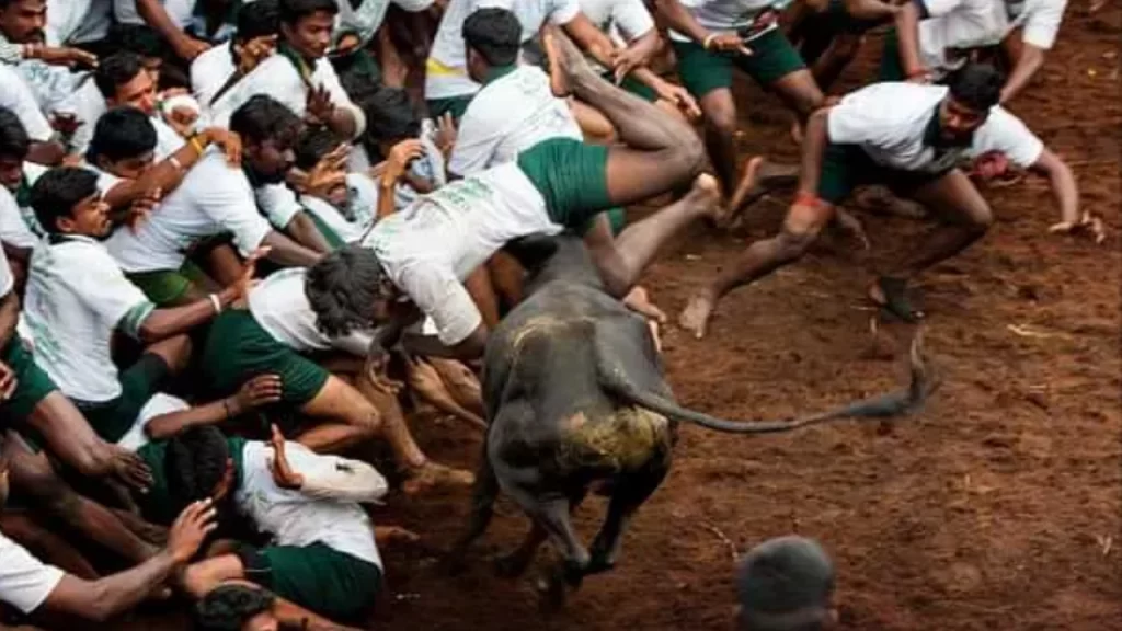 New Project - 2025-12-17T155346.698