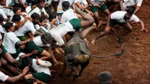 New Project - 2025-12-17T155346.698