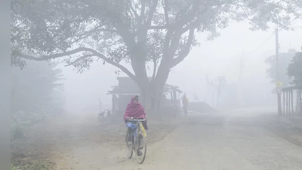 New Project - 2025-12-18T111831.064