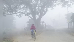 New Project - 2025-12-18T111831.064