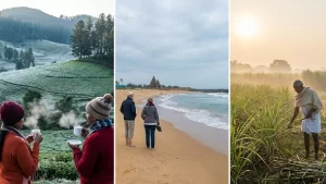 New Project - 2025-12-20T142411.420