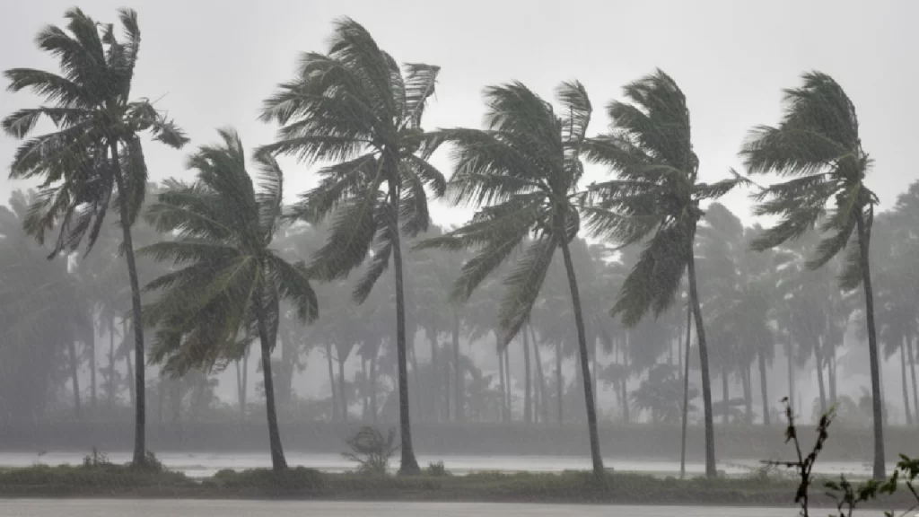 New Project - 2025-12-24T112325.191