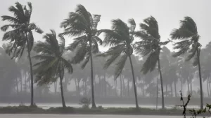 New Project - 2025-12-24T112325.191