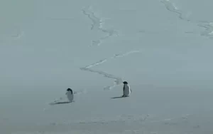 Screenshot 2026-01-24 165351