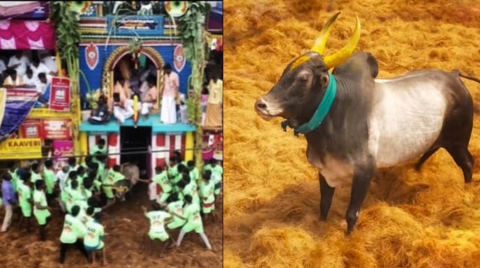 WhatsApp Image 2026-01-16 at 2.49.31 PM